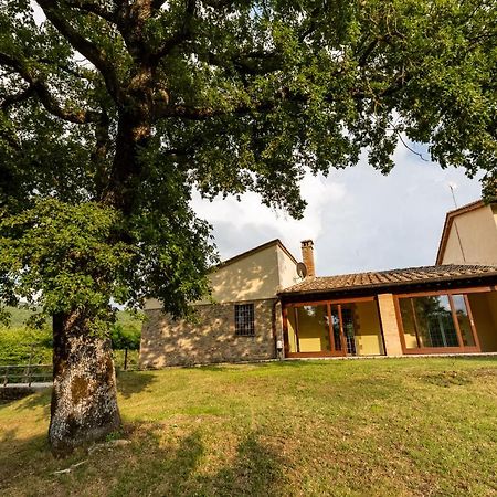 Villa Casa Gabry Sarteano Exterior foto
